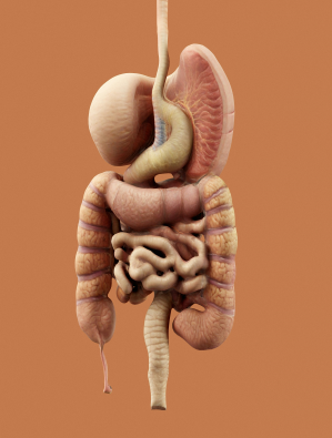 Gastroenterology