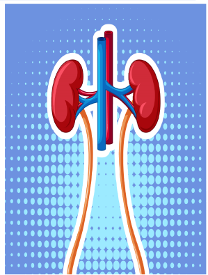 Nephrology