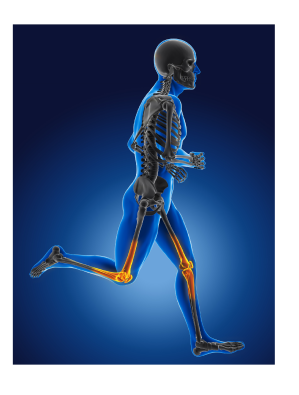 Orthopedics and Traumatology